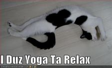 i-duz-yoga-ta-relax.jpg