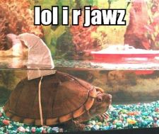 lol-i-r-jawz.jpg