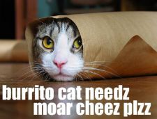 moarcheez-mike.jpg