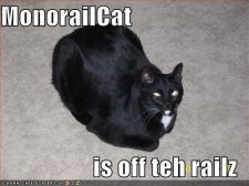 monorailcatis128532384146093750.jpg