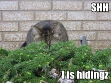 shh-i-is-hidingz_r.jpg