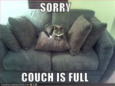 sorrycouchis128391026322343750.jpg