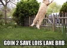 superkitty1.jpg