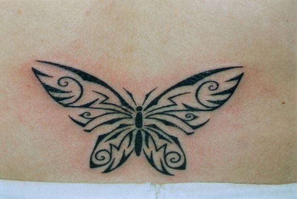 papillon.jpg