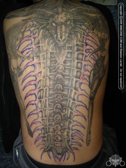 tatoo.bmegl086810.jpg