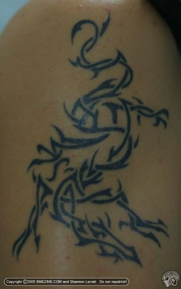 tatoo.bmegl114328.jpg