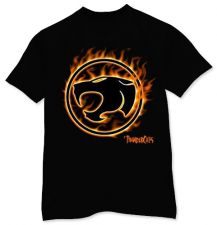 thundercats.fire.jpg